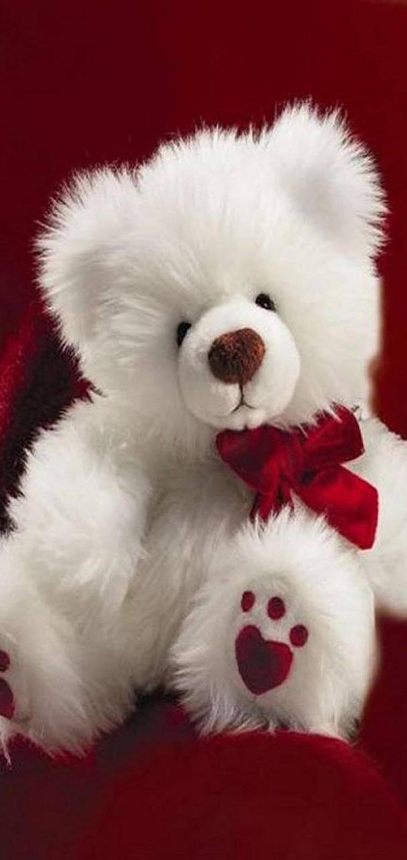 download Bear  love img