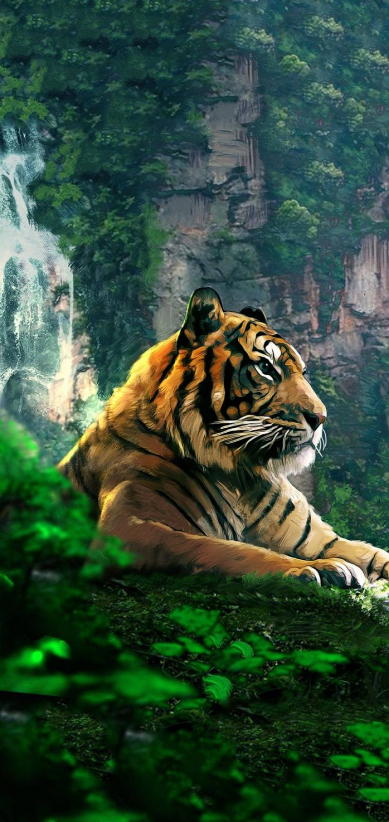 download Animal   c  aab