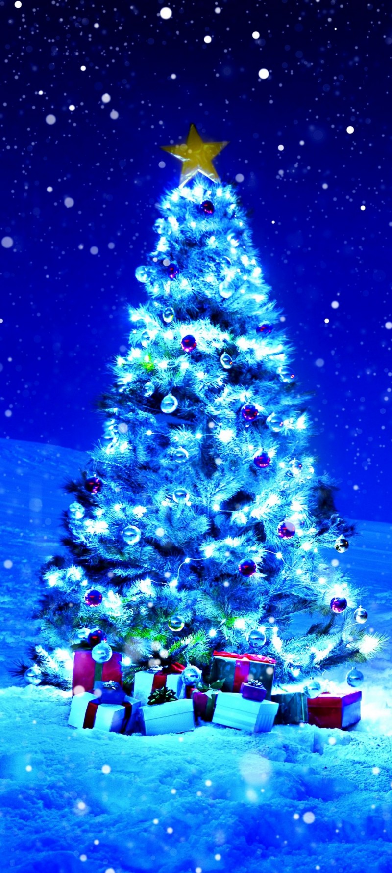 download Brad de craciun iarna.jpg