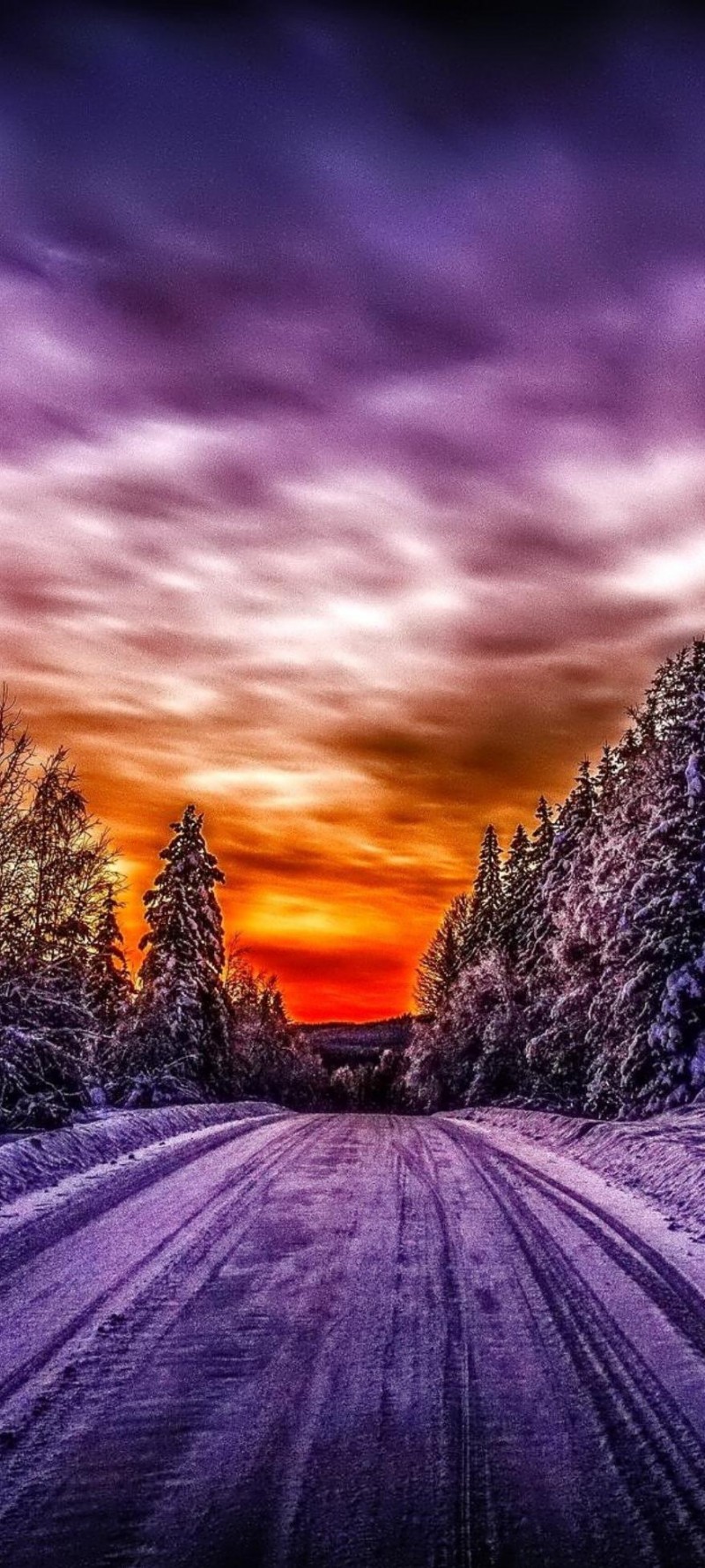 download Winter Road.jpg