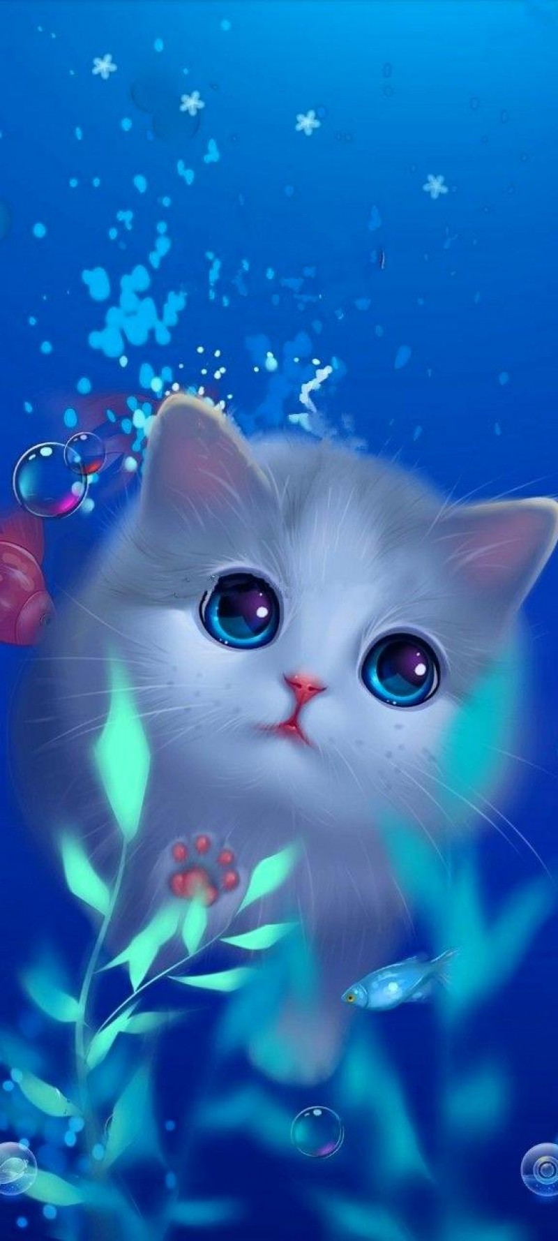 download Cat in the ocean.jpg