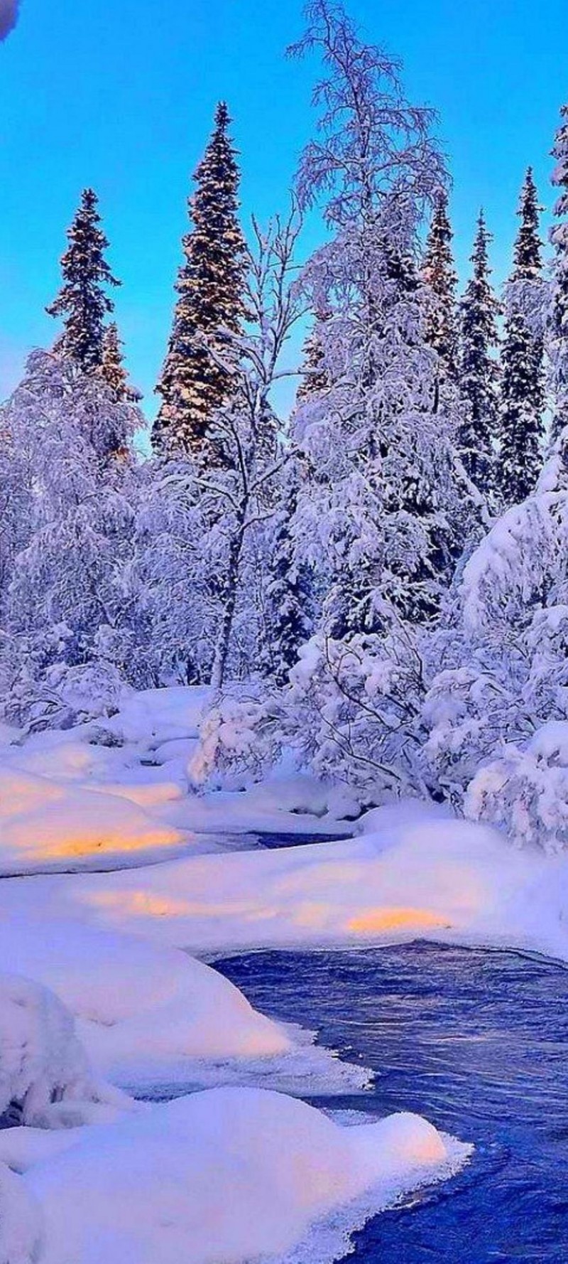 download Winter (2).jpg