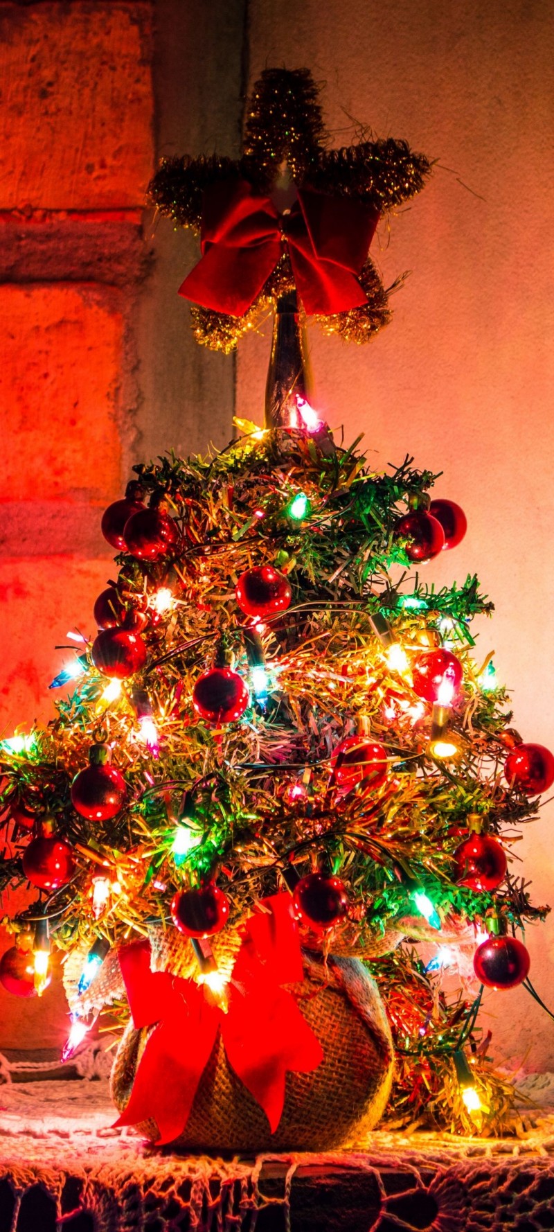 download Brad de craciun poze.jpg