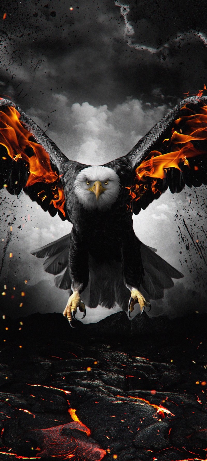 download Poze vultur 3d.jpg